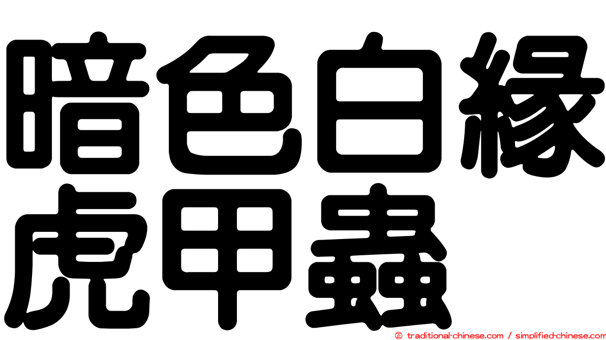 暗色白緣虎甲蟲