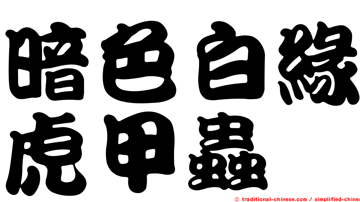 暗色白緣虎甲蟲