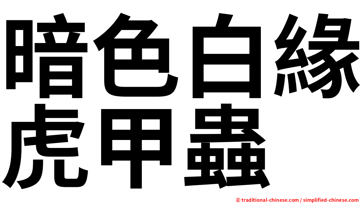 暗色白緣虎甲蟲
