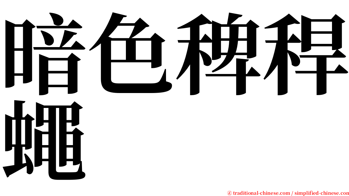 暗色稗稈蠅 serif font