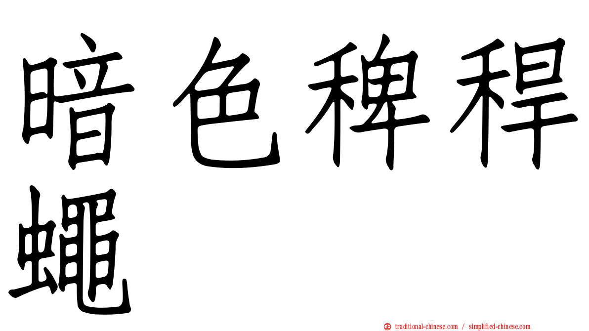 暗色稗稈蠅