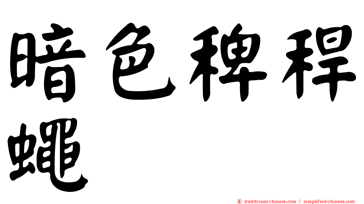 暗色稗稈蠅