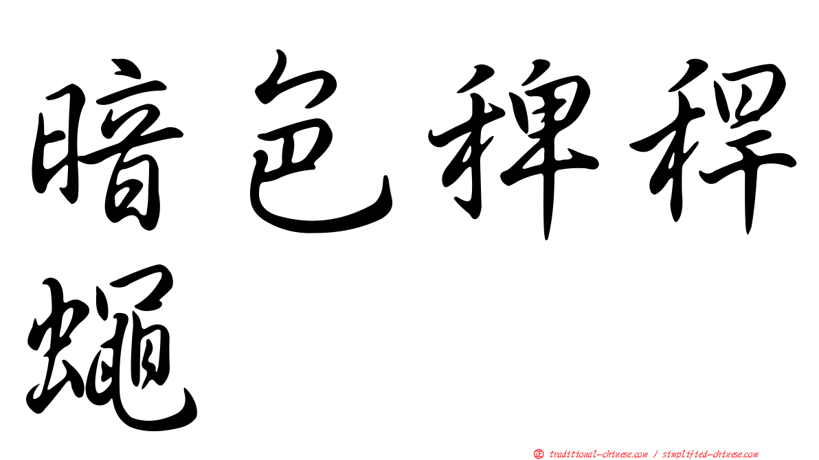 暗色稗稈蠅