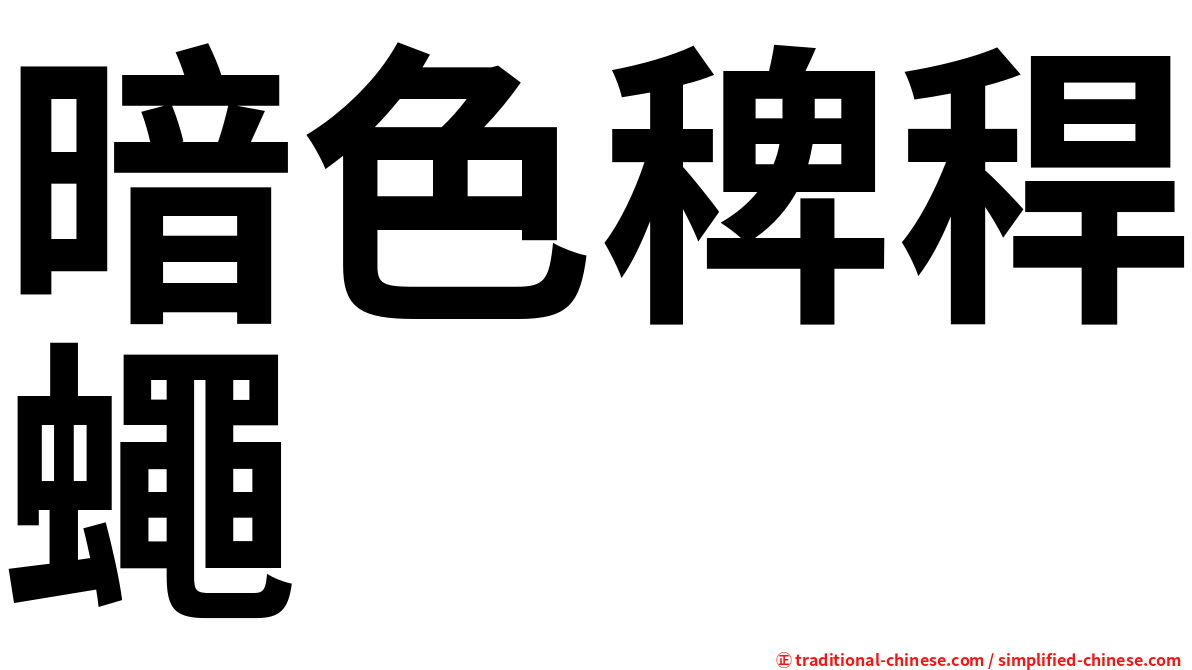 暗色稗稈蠅