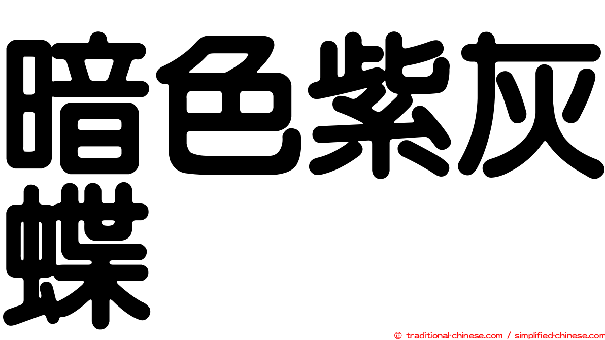 暗色紫灰蝶