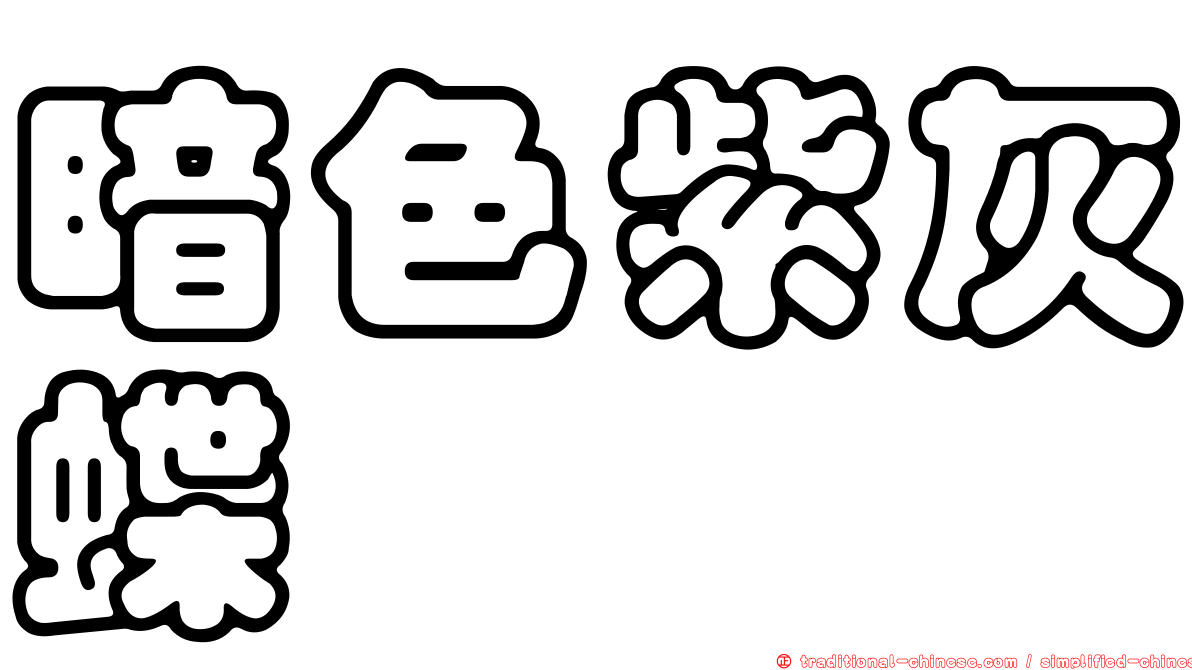暗色紫灰蝶