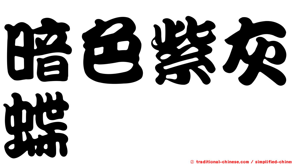 暗色紫灰蝶