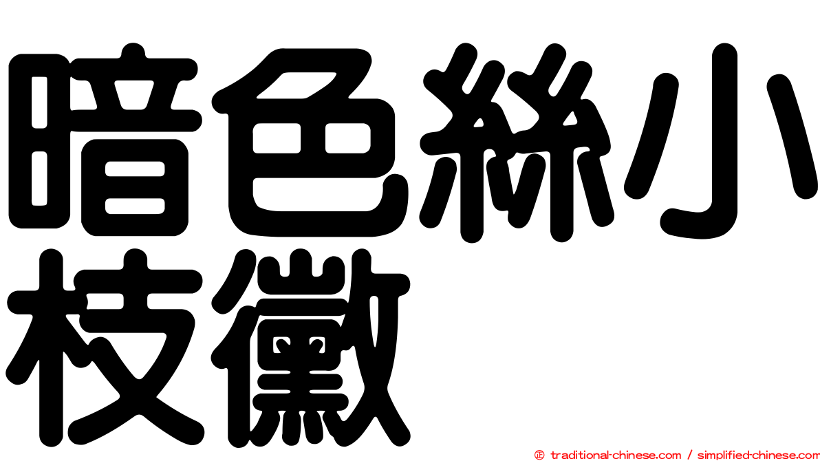 暗色絲小枝黴