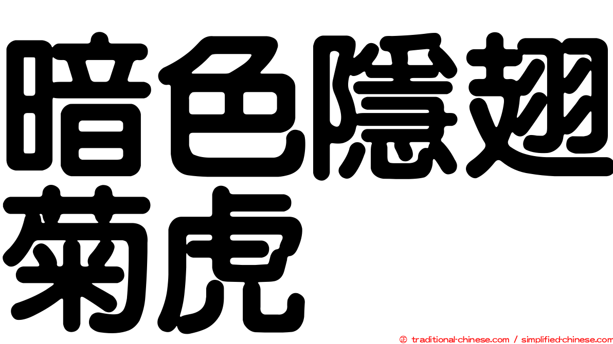 暗色隱翅菊虎