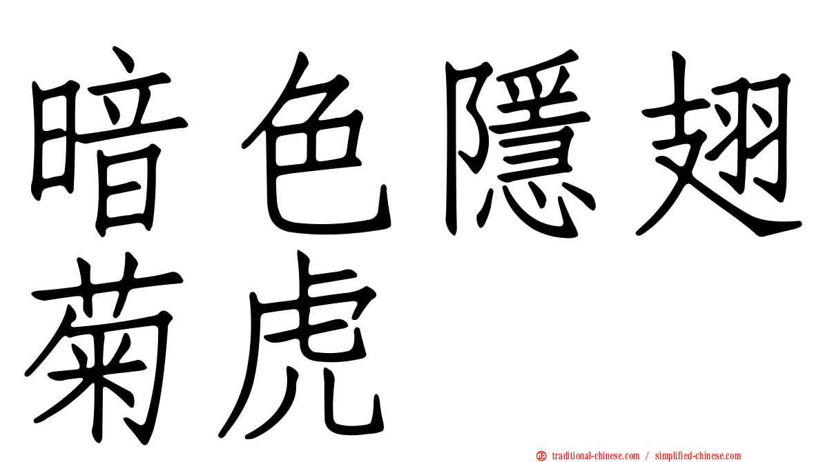 暗色隱翅菊虎