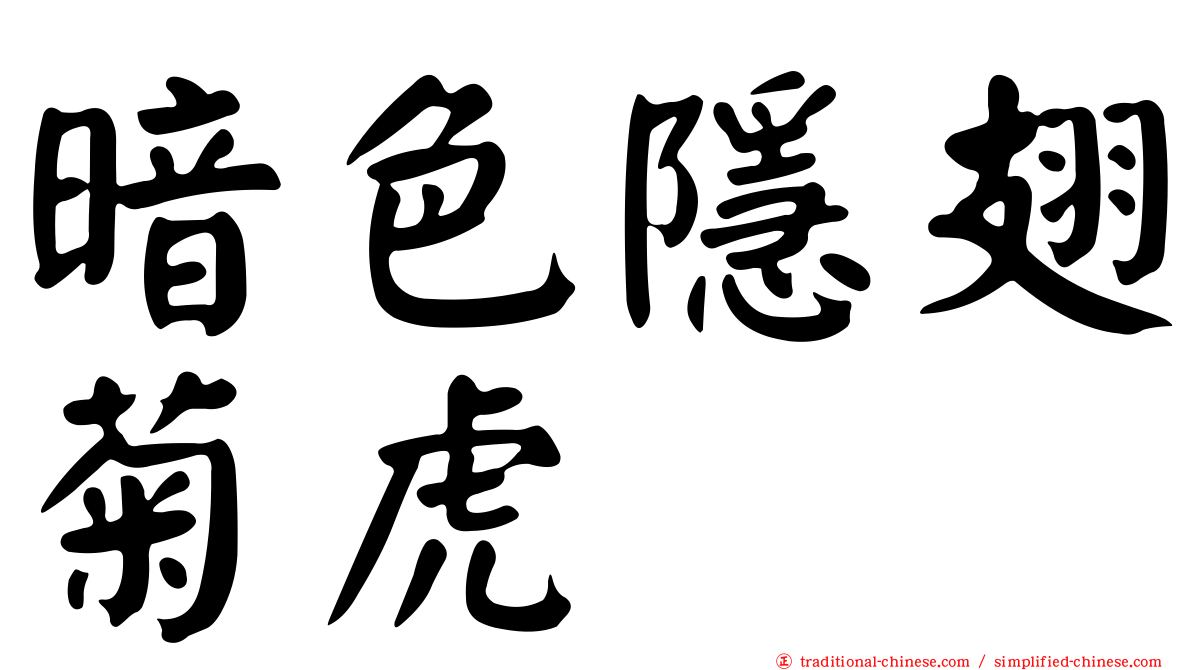 暗色隱翅菊虎