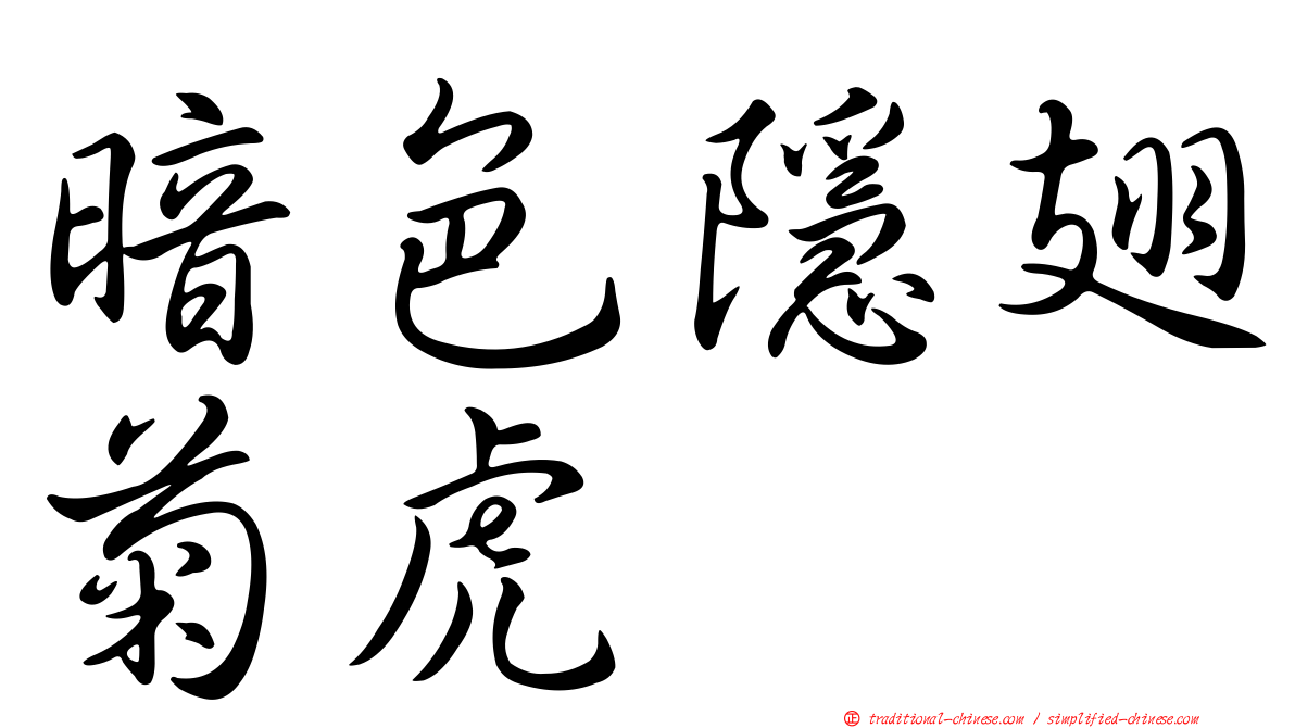 暗色隱翅菊虎