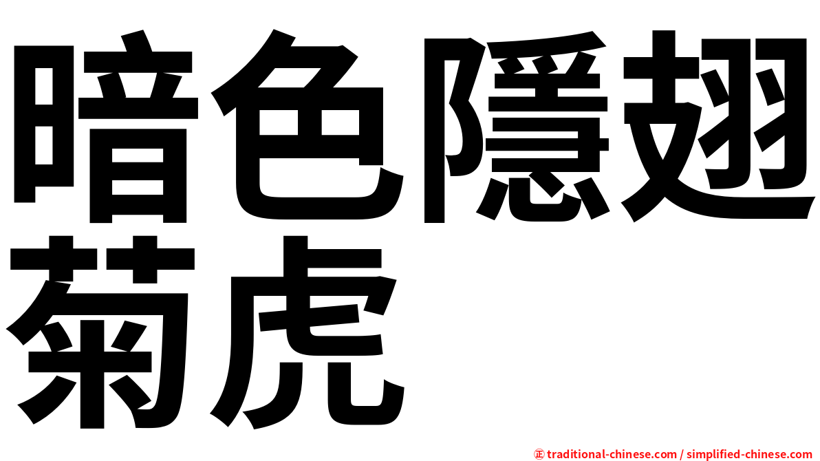 暗色隱翅菊虎