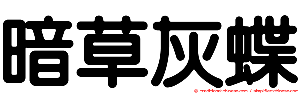 暗草灰蝶