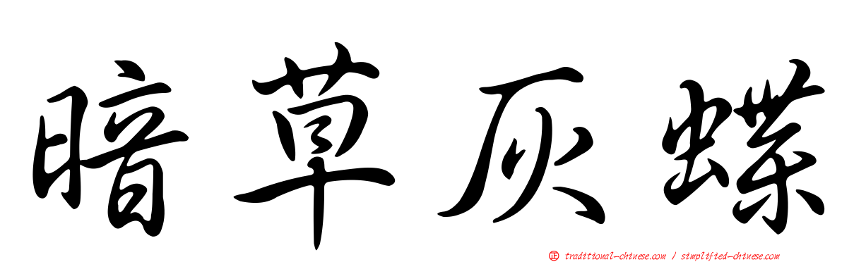 暗草灰蝶