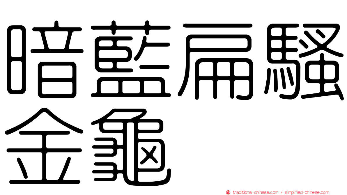 暗藍扁騷金龜