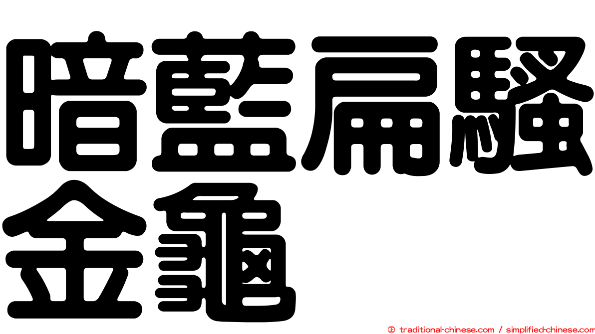暗藍扁騷金龜