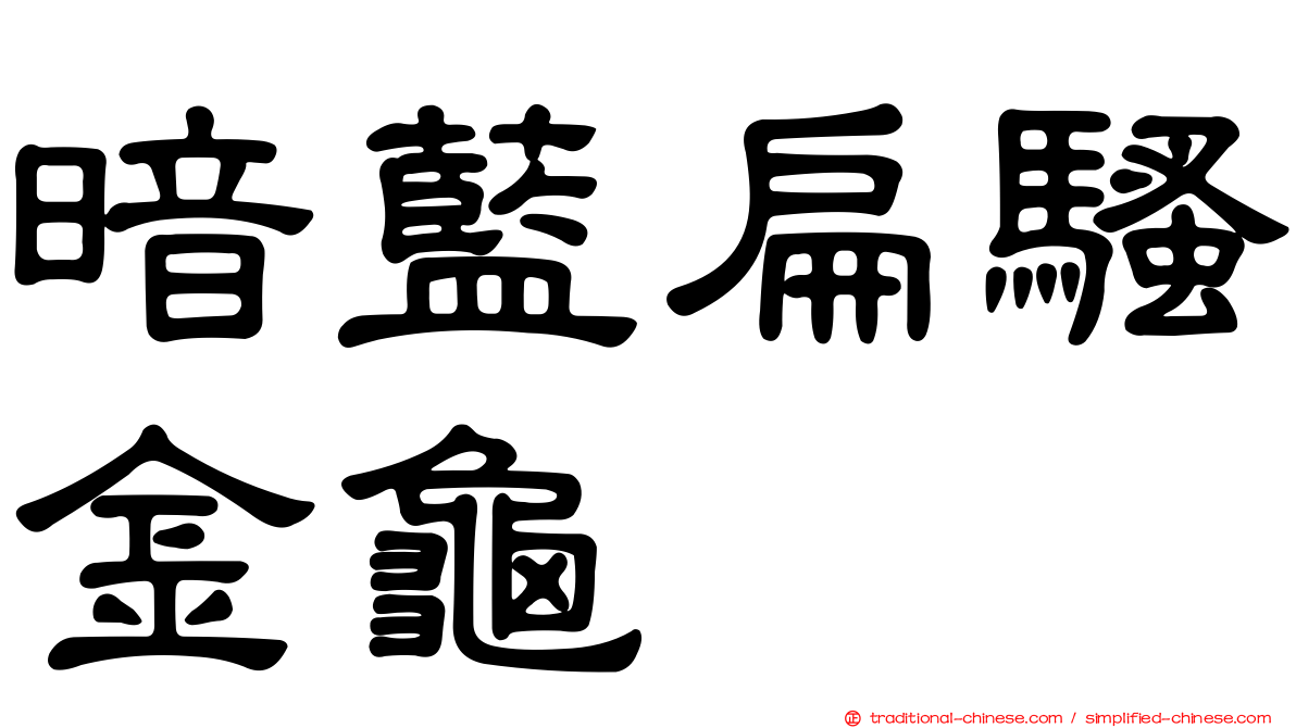 暗藍扁騷金龜