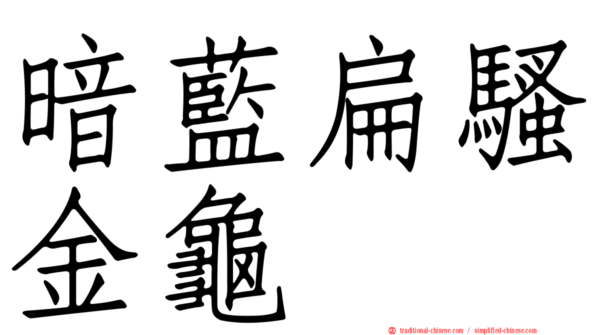暗藍扁騷金龜