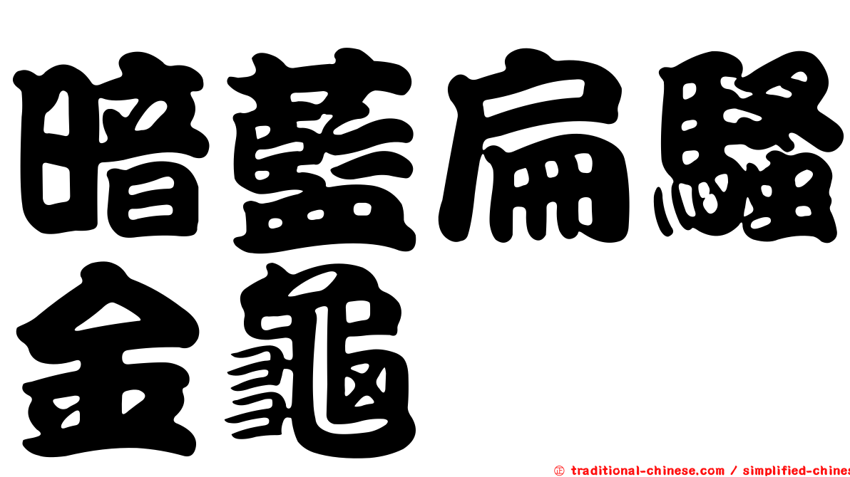 暗藍扁騷金龜