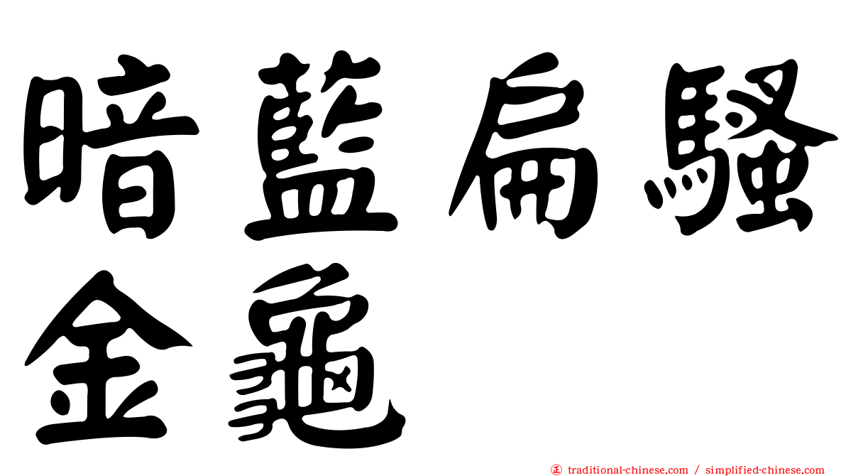 暗藍扁騷金龜