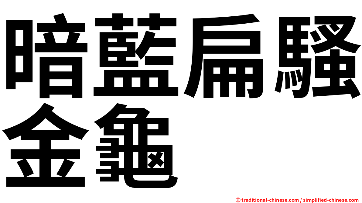 暗藍扁騷金龜