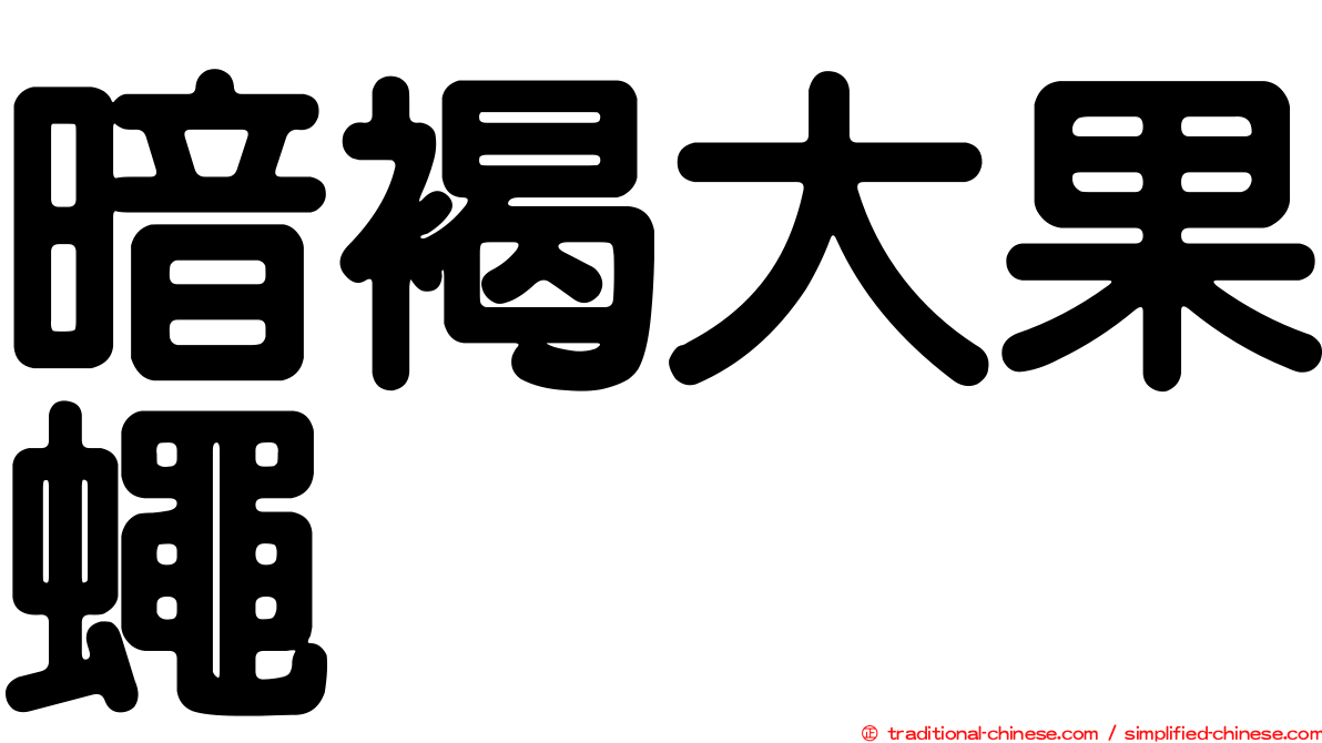 暗褐大果蠅