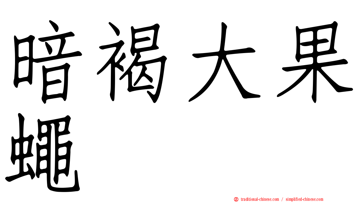 暗褐大果蠅