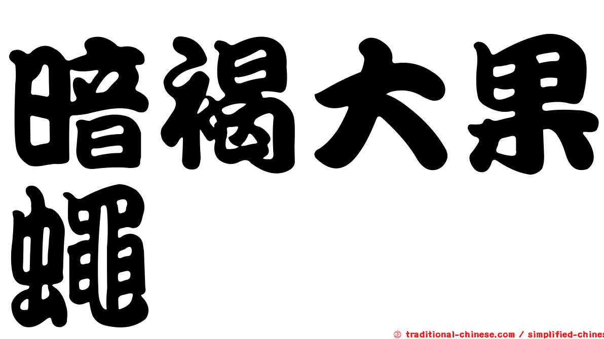暗褐大果蠅