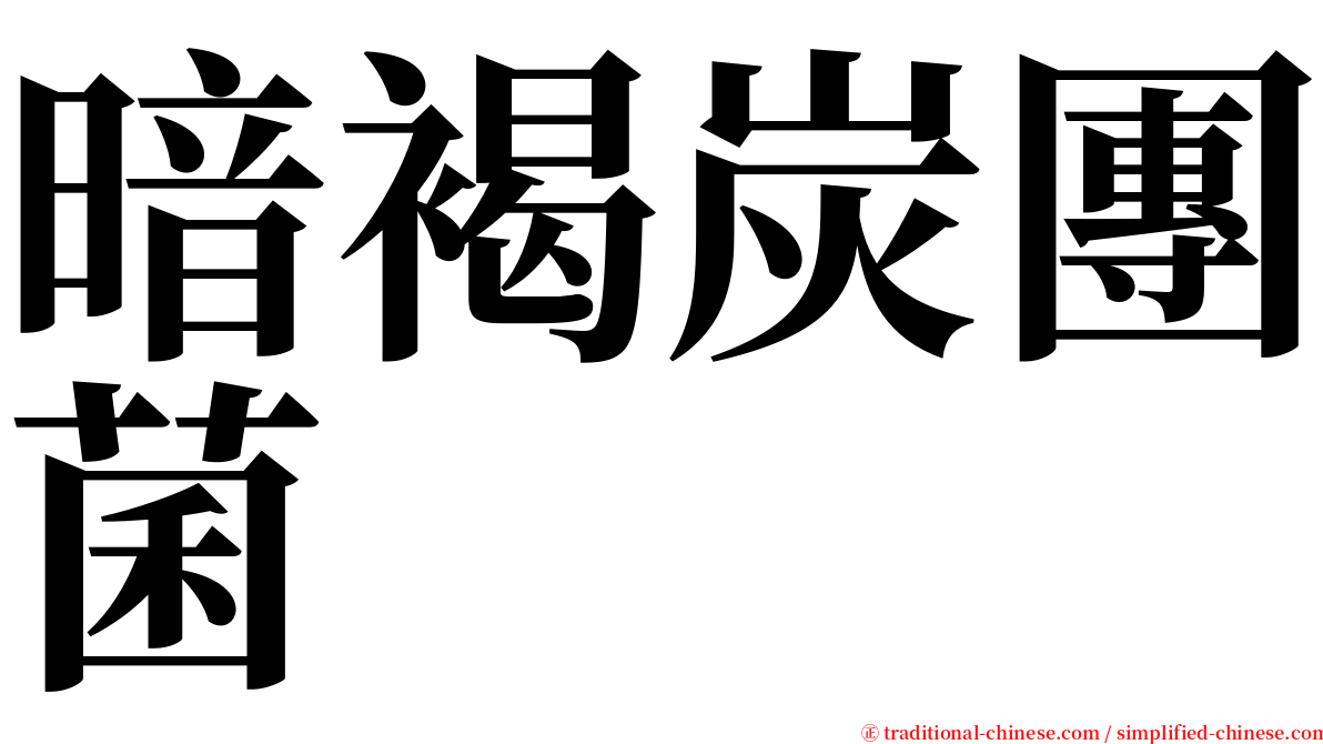 暗褐炭團菌 serif font