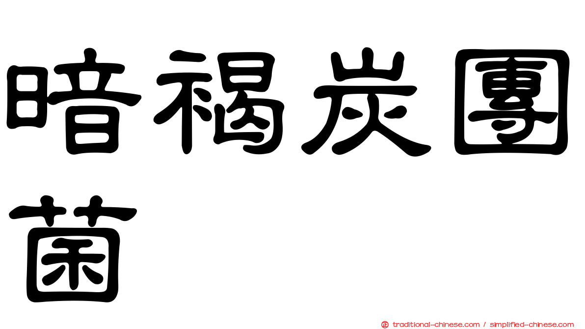 暗褐炭團菌