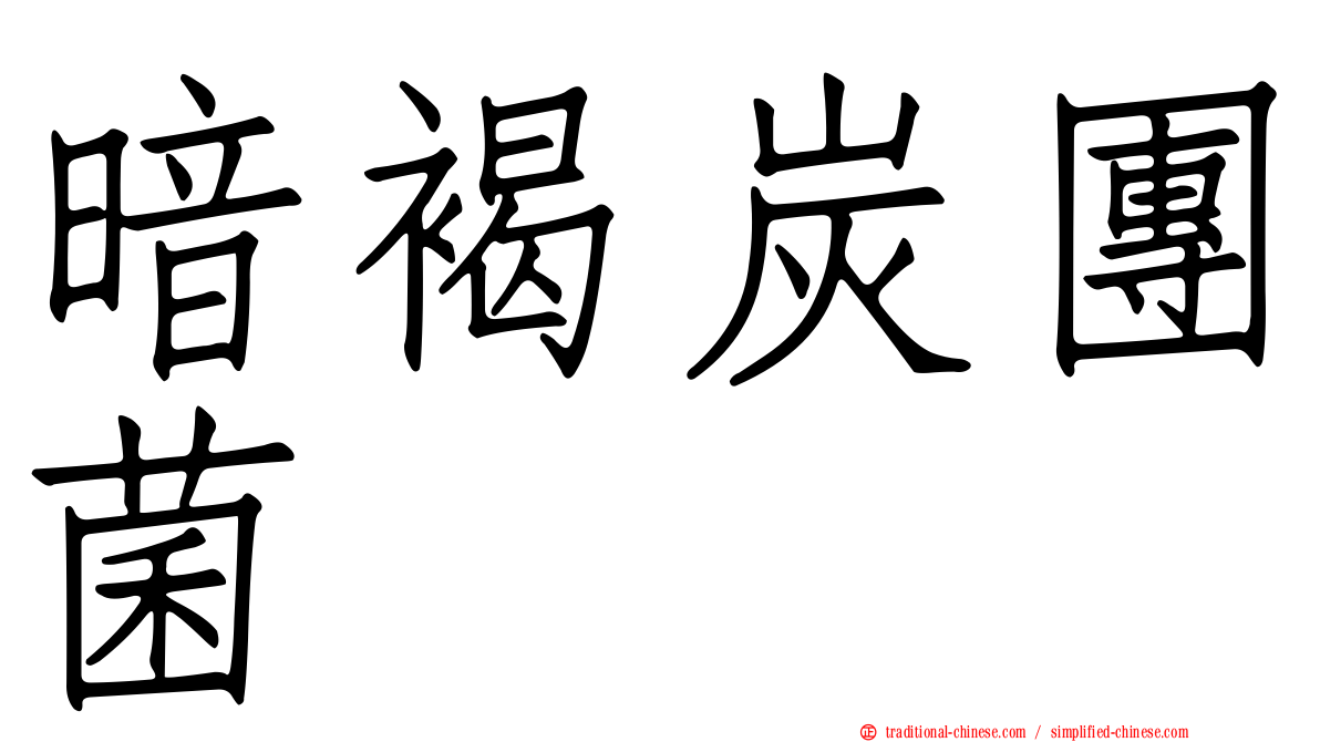 暗褐炭團菌