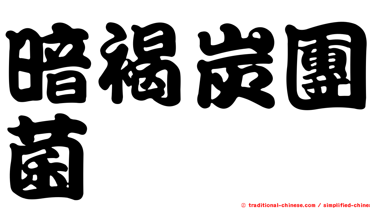 暗褐炭團菌