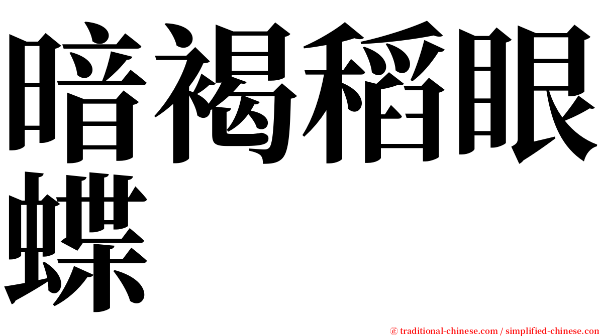 暗褐稻眼蝶 serif font