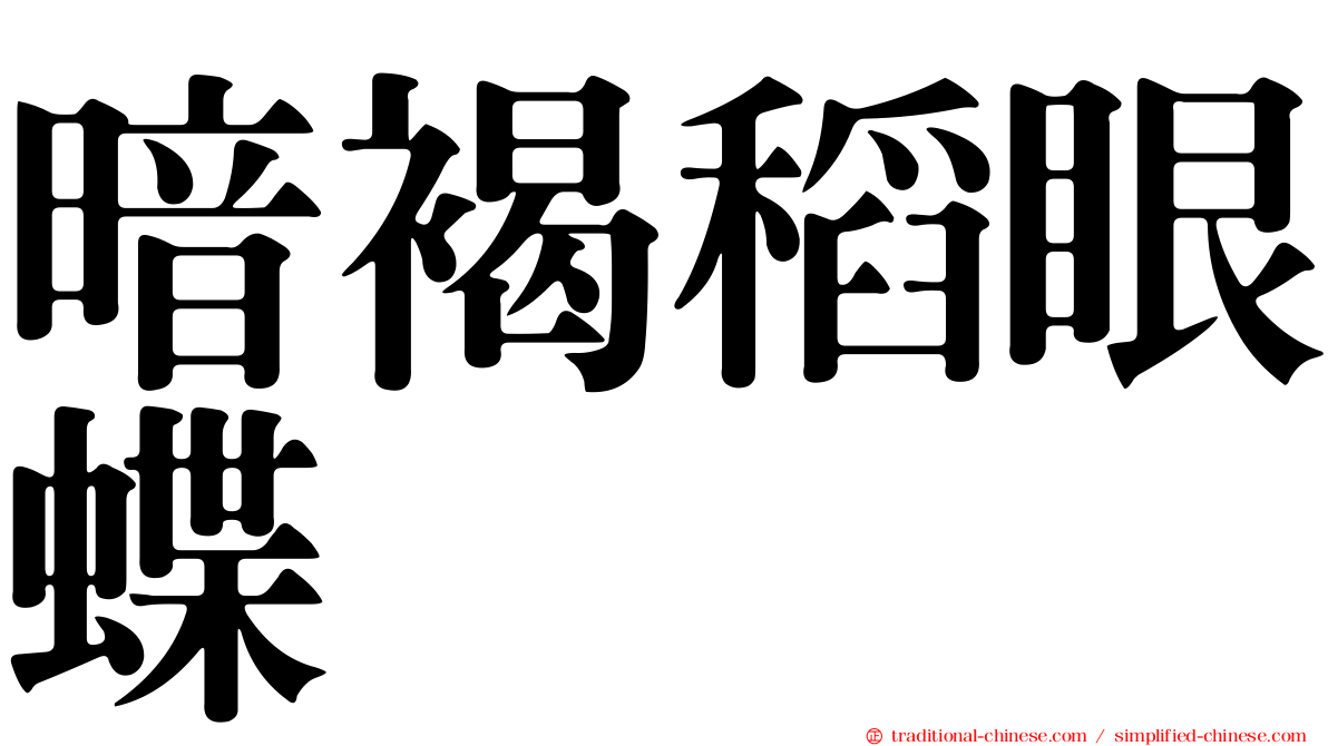 暗褐稻眼蝶