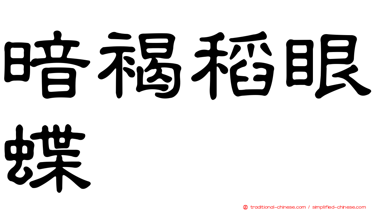暗褐稻眼蝶