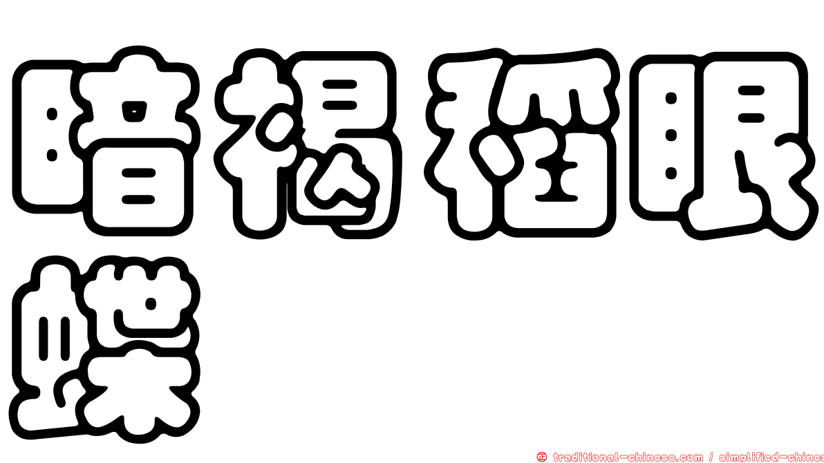 暗褐稻眼蝶
