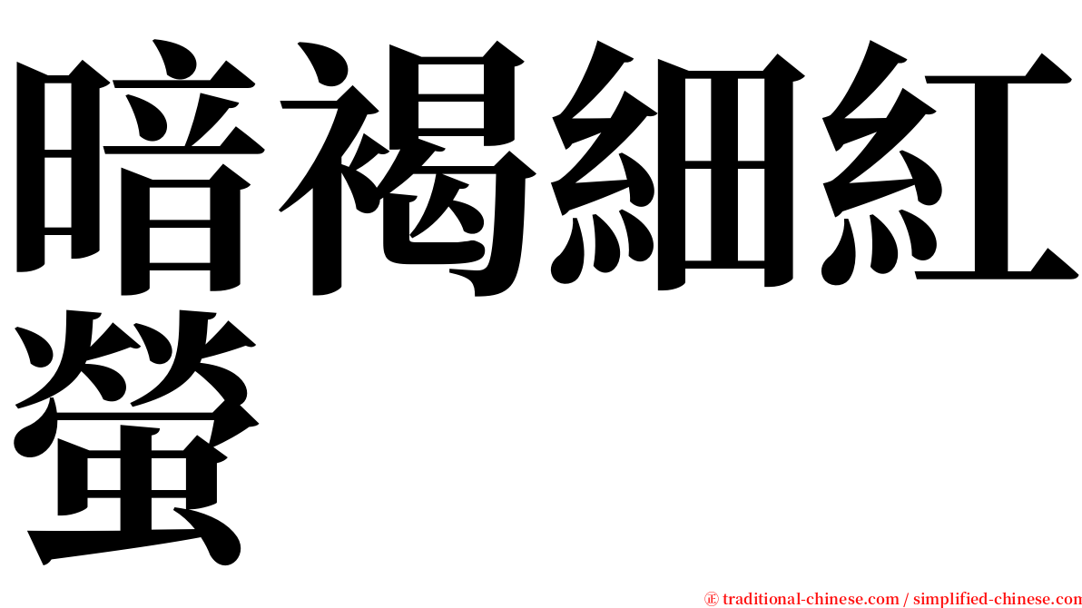 暗褐細紅螢 serif font