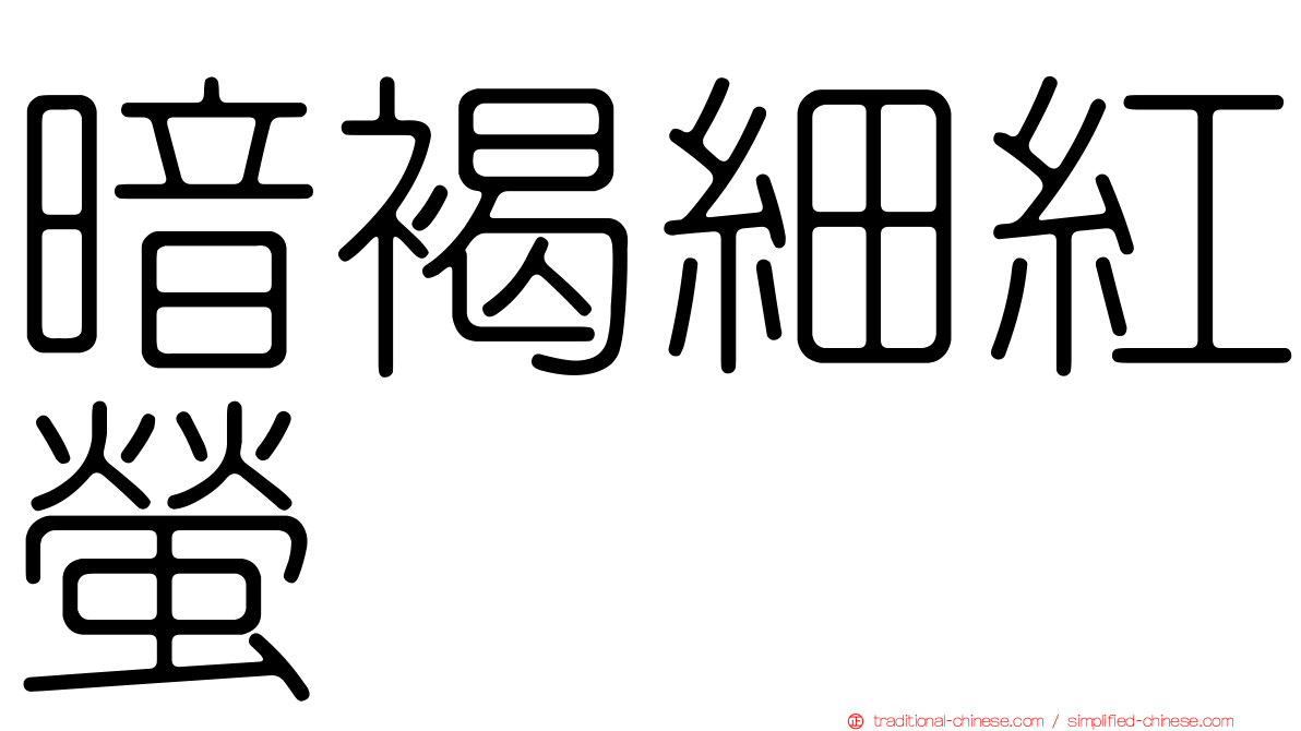 暗褐細紅螢