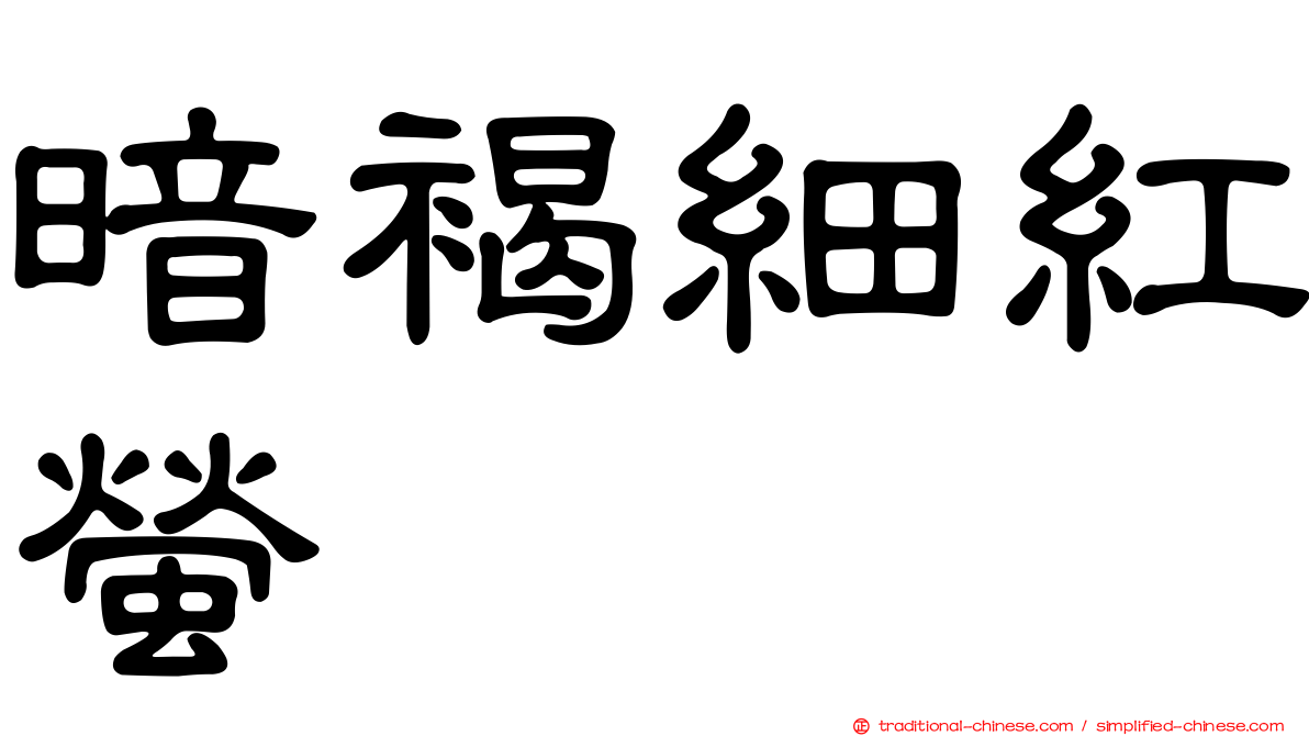 暗褐細紅螢