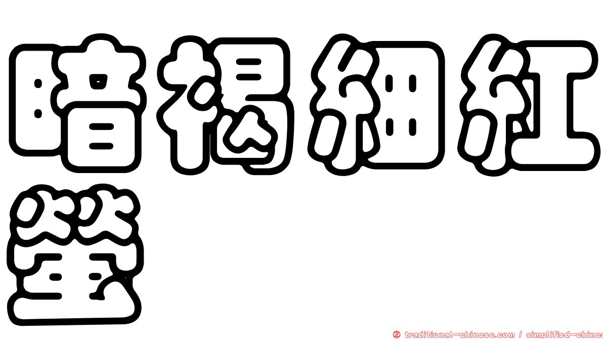 暗褐細紅螢