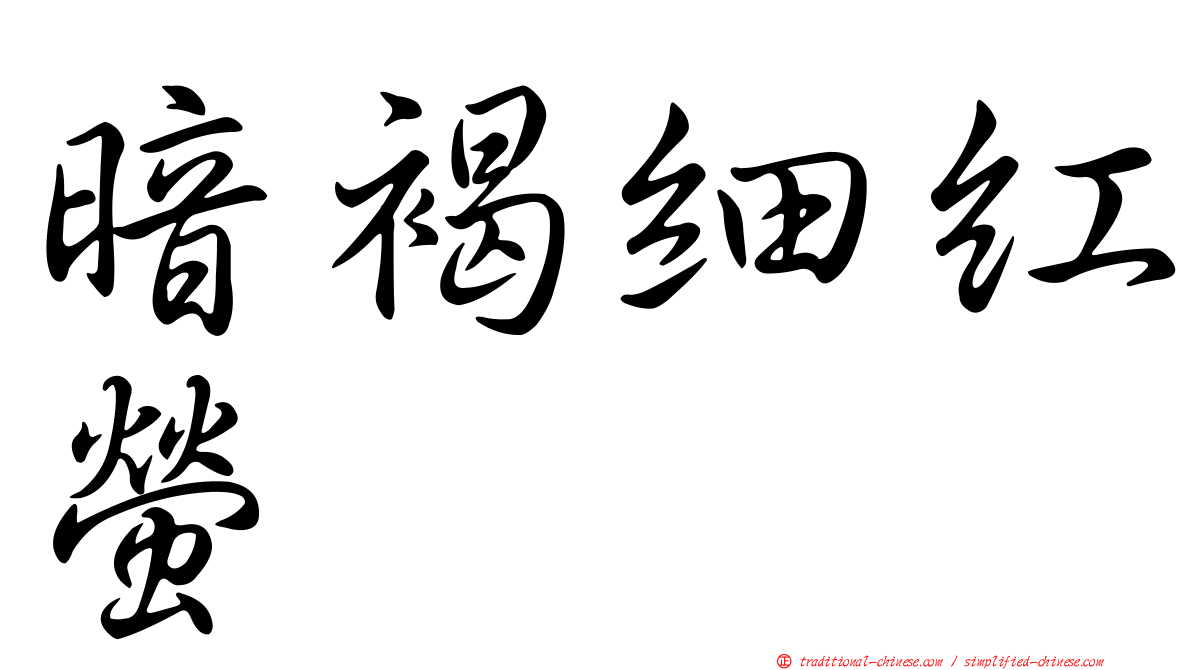 暗褐細紅螢