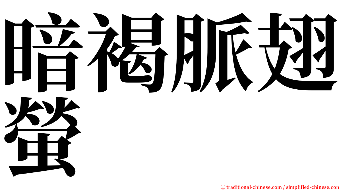 暗褐脈翅螢 serif font