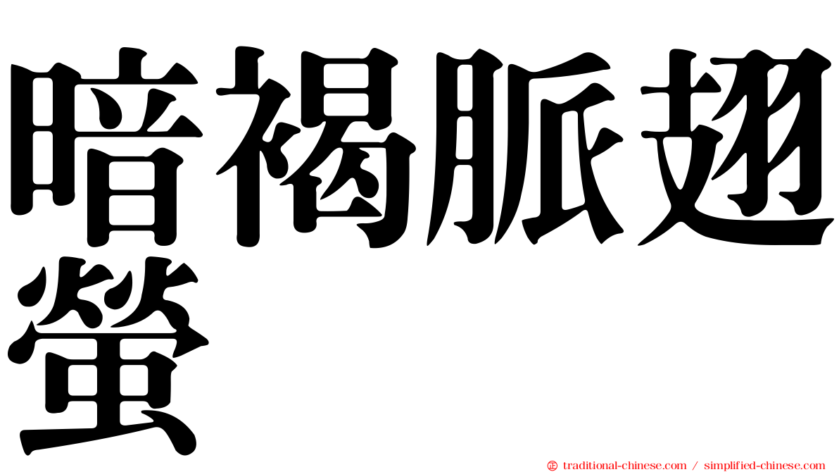 暗褐脈翅螢