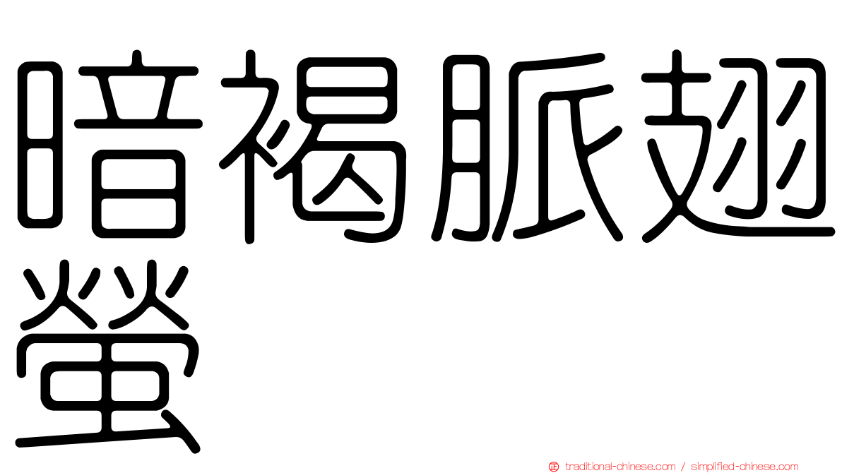 暗褐脈翅螢