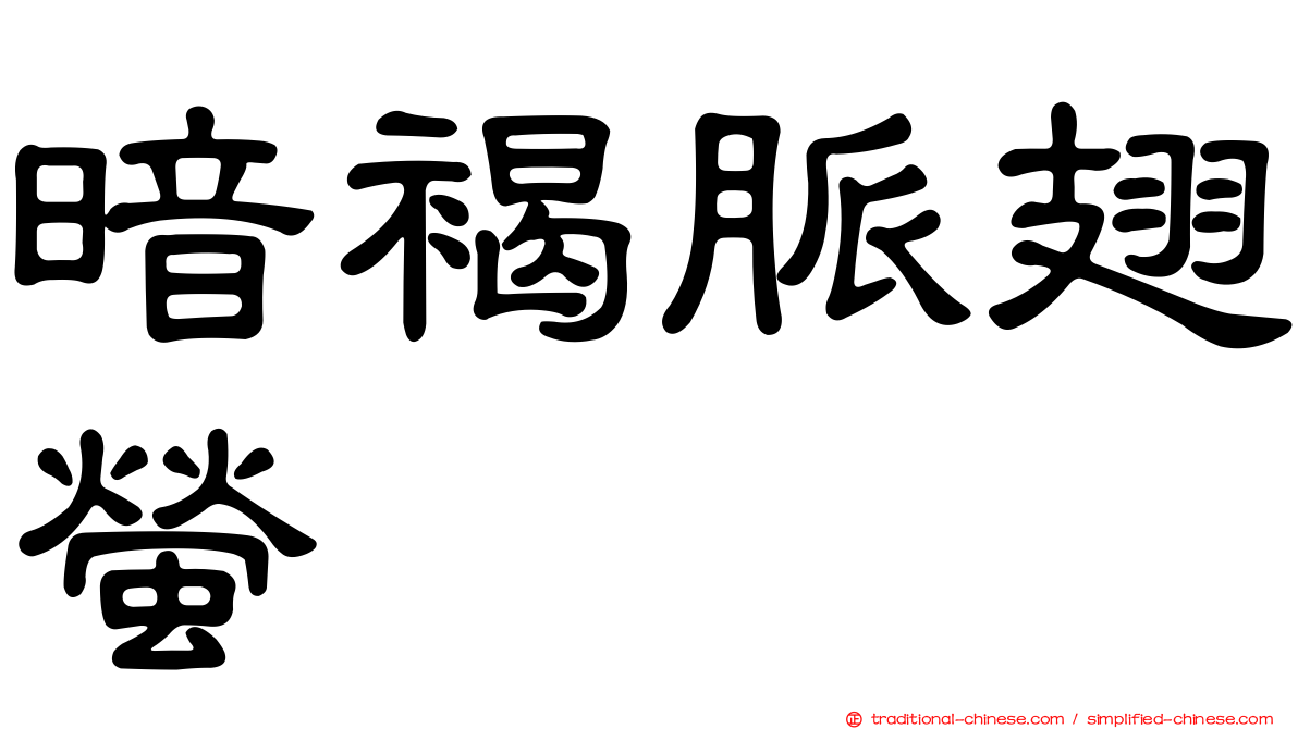 暗褐脈翅螢