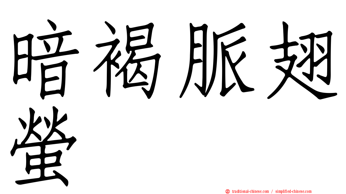 暗褐脈翅螢