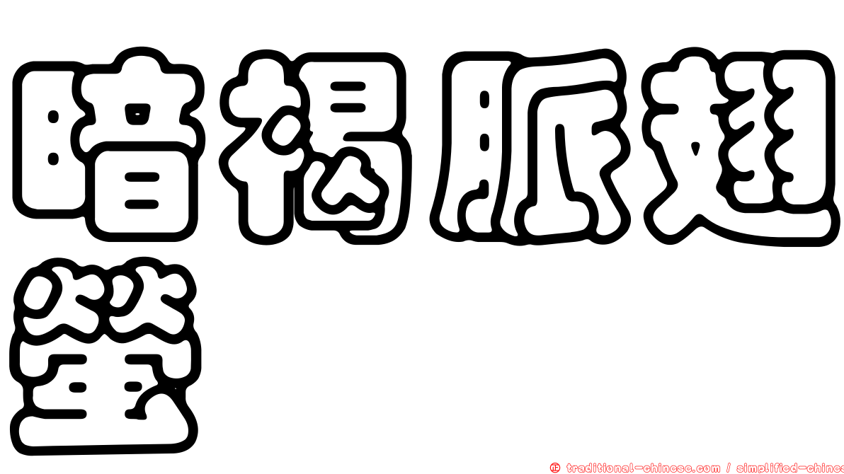 暗褐脈翅螢