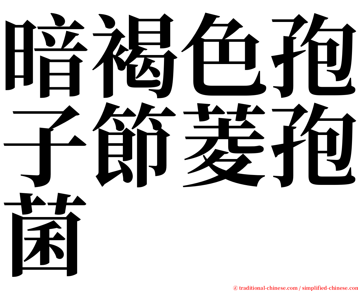 暗褐色孢子節菱孢菌 serif font