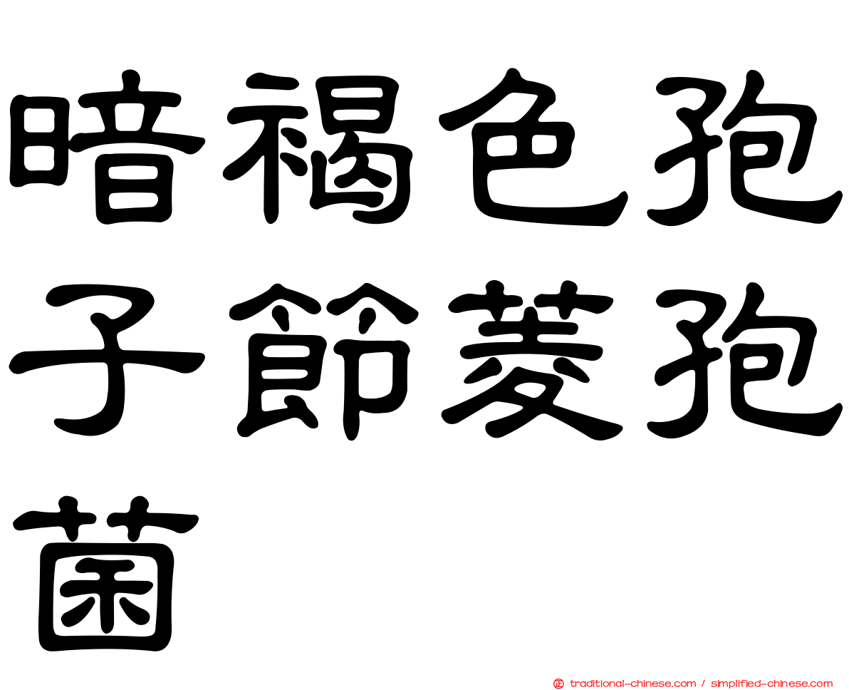 暗褐色孢子節菱孢菌